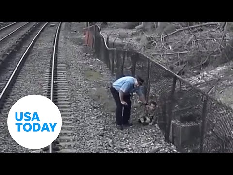 Child rescued by MTA workers after wandering onto train tracks | USA TODAY
