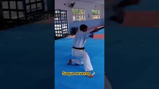 #laido #como executar saque #reverso #kendo #kenjutsu #ninjutso #brasil #combat