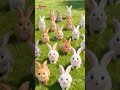 Goat Goat on the Farm | Fun Farm Animal Song for Kids | Galatta Kids English #Shorts