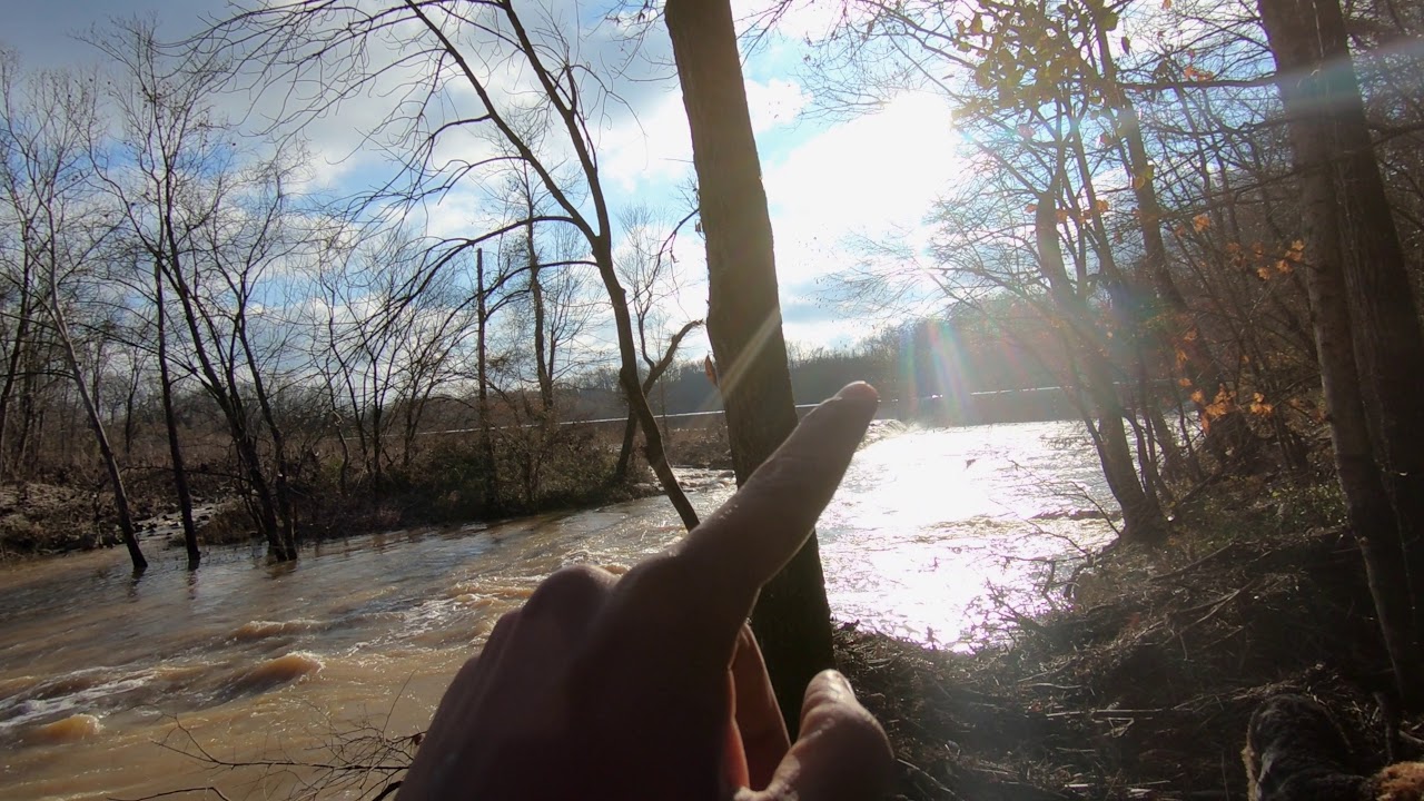 Creek Before and After a Night of Rain YouTube