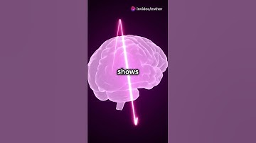 How a Digital Twin Could Revolutionize Heart and Brain Health! 🧠❤️ | Neurocardiac Simulation