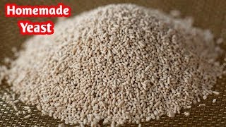 ஈஸ்ட் இனி வீட்டிலேயே  செய்யலாம்| how to make yeast at home|| DIY || how to make yeast in Tamil