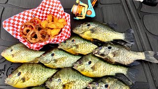 Non- Stop SLAB Shell Cracker Bite!! Crispy Cracker Catch n' Cook by High Adventure Videos 61,722 views 2 weeks ago 35 minutes