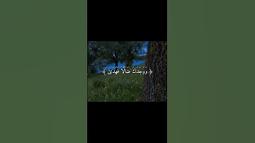 سورة الضحى 6-8 ،  القارئ : محمد صديق المنشاوي ، #القران #اجر #اجر_لي_ولك #محمد_صديق_المنشاوي