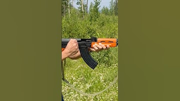 Type-81 Rifle #shorts #trending #type81