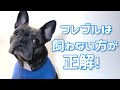 教科書では教えてくれないフレブルを飼わない方が良い人５選