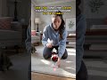 Smart Laser Cat Toy — moves all by itself while you are at work #Shorts