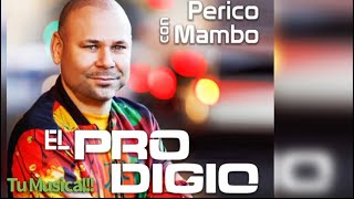 Video thumbnail of "El Prodigio - Perico con Mambo (Merengue Tipico)"
