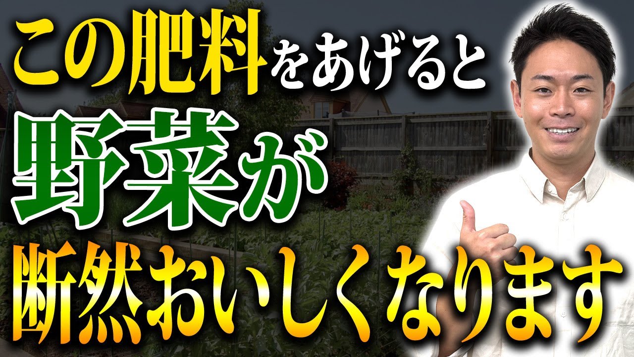 コスパ最強資材！土づくりにも作物にも使える！【家庭菜園 ガーデニング 土づくり 肥料 ようりん】