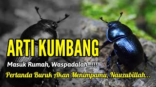 Waspada Arti Kumbang Masuk Rumah Ini Pertanda Akan Terjadi Hal Buruk