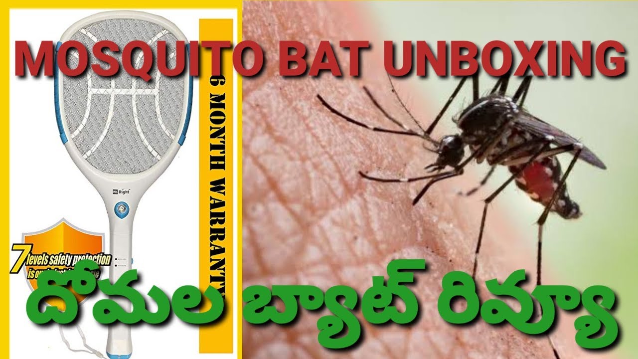 MOSQUITO BAT REVIEW YouTube