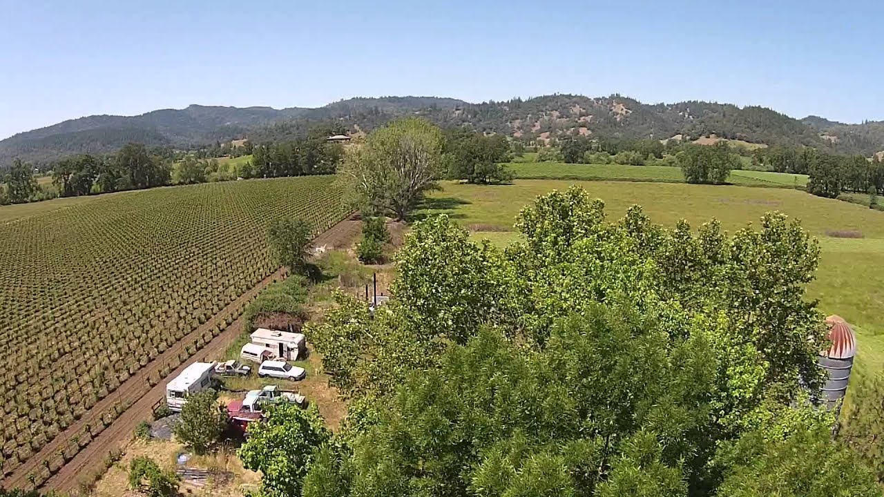 Potter Valley 2 YouTube