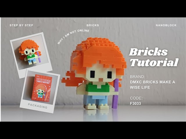 How to Build Nami One Piece Building Blocks | DMXC Bricks Make a