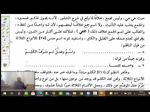 التصريح 29 والكلم اسم جنس جمعي