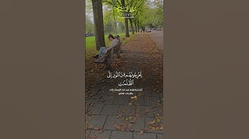 تلاوة عطرة لآيات من كتاب الله #القرآن_الكريم #القرآن #الله #اكسبلور #المصحف #foryou #viral#