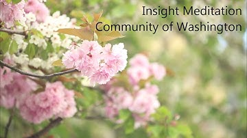 Tara Brach | The Power of Deep Listening, Part 2