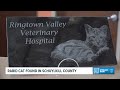 A case of rabies among stray cats in Schuylkill County has prompted caution among animal rescuers
