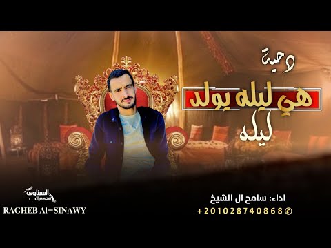 دحيه قبيله الحويطات هي ليله يولد ليله سامح ال الشيخ 2024