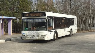 картинка: Бабруйск, аўтобус МАЗ-103 №238, маршрут 4а (12.03.2024)