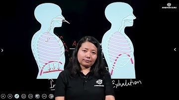 Confused on Inhalation and Exhalation Process? Look how our Guru Suman Rai explains. #AmbitionGruru