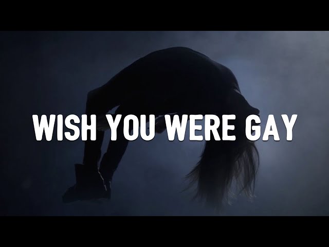 Billie Eilish - wish you were gay (Lyrics) class=