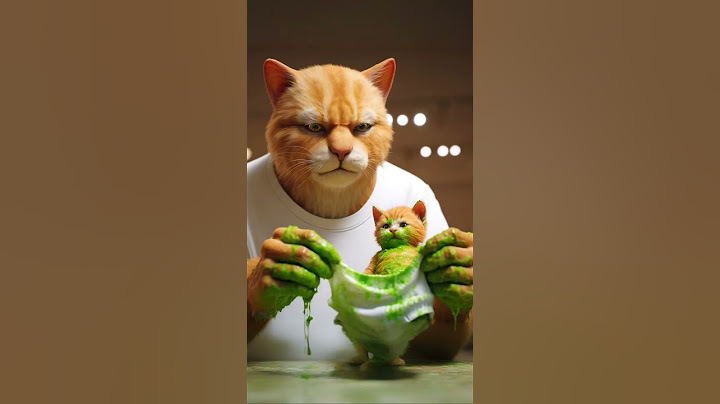 Betapa sulitnya menjadi Ayah Kucing?! 🙀 #kucing #anakkucing #imut