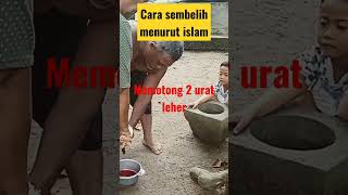 cara menyembelih ayam menurut syariat islam #short #shortvideo