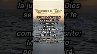 Aprende la Biblia. Romanos 1: 17. #labiblia #lapalabradedios #aprendelabiblia #dios #jesus #fe #cruz