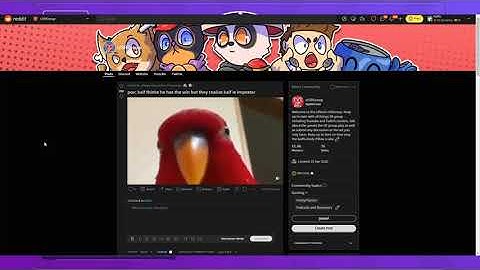 SR_Kaif - Laughing maniacally