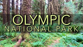 MUST SEE Spots in Olympic National Park