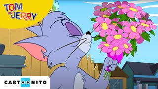A Tom és Jerry-show | Angyal és Kisördög | Boomerang A Tom és Jerry-show | Angyal és Kisördög | Boomerang