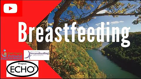 Fed is First, Supported is Best: Advocating for Lactating Women Across the Healthcare Spectrum