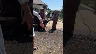 IMG 5988
