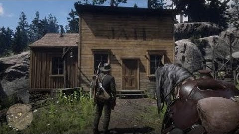 Red Dead Redemption 2 Part 12 - Saving Sean