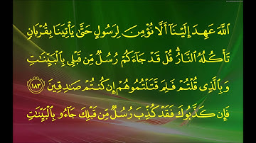 سورة آل عمران (الآية 176  ~ الآية 188) - ياسر بن راشد الدوسري