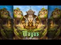 Henrique Camacho, Raz, Dj Yuuki - Mayas