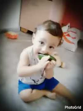 Si kecil black sweet goyang anjing kecili tew tew tew 😘😘