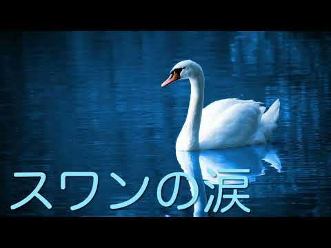素人ア・カペラ「スワンの涙」オックス／covered by さくら🌸