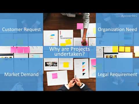 Project Management Professional