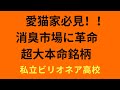 【消臭の救世主】ペット消臭にお困りの方に朗報！消臭の王者が満を持して、ペット消臭市場へ参入！まずは、猫ちゃん向け！愛猫家は見逃し厳禁-必見【株投資】【166-Period】