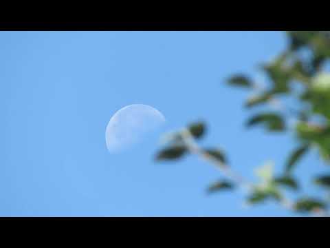 Video: The Appearance Of The Moon - Alternative View