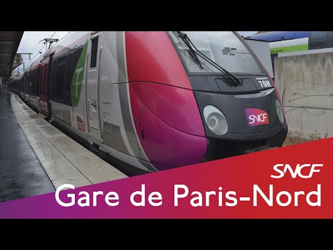 Video: Det Franske Bi-flyselskab Paris Til Newark-ruten