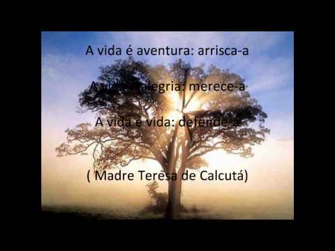 A vida  um hino: ento cante! (Anthem - Kamelot)