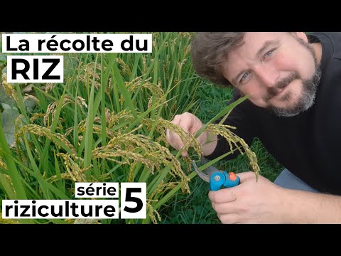 Vidéo: Comment installer des crochets au plafond : 15 étapes (avec photos)