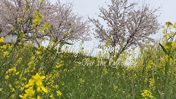 【97】Living in Awaji | Spring Spring Spring ♬ | Awaji Island in Spring |