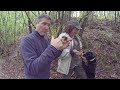 Croatia: Truffle Hunting