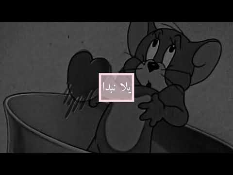 رياكشنات صور الوصف