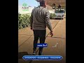 اكتشف سر نجاح زراعة أنسجة برحي ومجدول بأعلى جودة في مصر اكتشف سر نجاح زراعة أنسجة برحي ومجدول بأعلى جودة في مصر