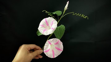 Bella’s Craft/How to make morning glory by crepe paper/Hướng dẫn làm hoa bìm bìm bằng giấy nhún