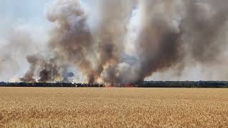 The Russian army is burning Ukrainian wheat to create global famine.